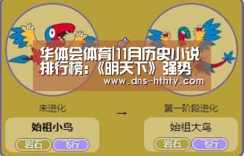 华体会体育